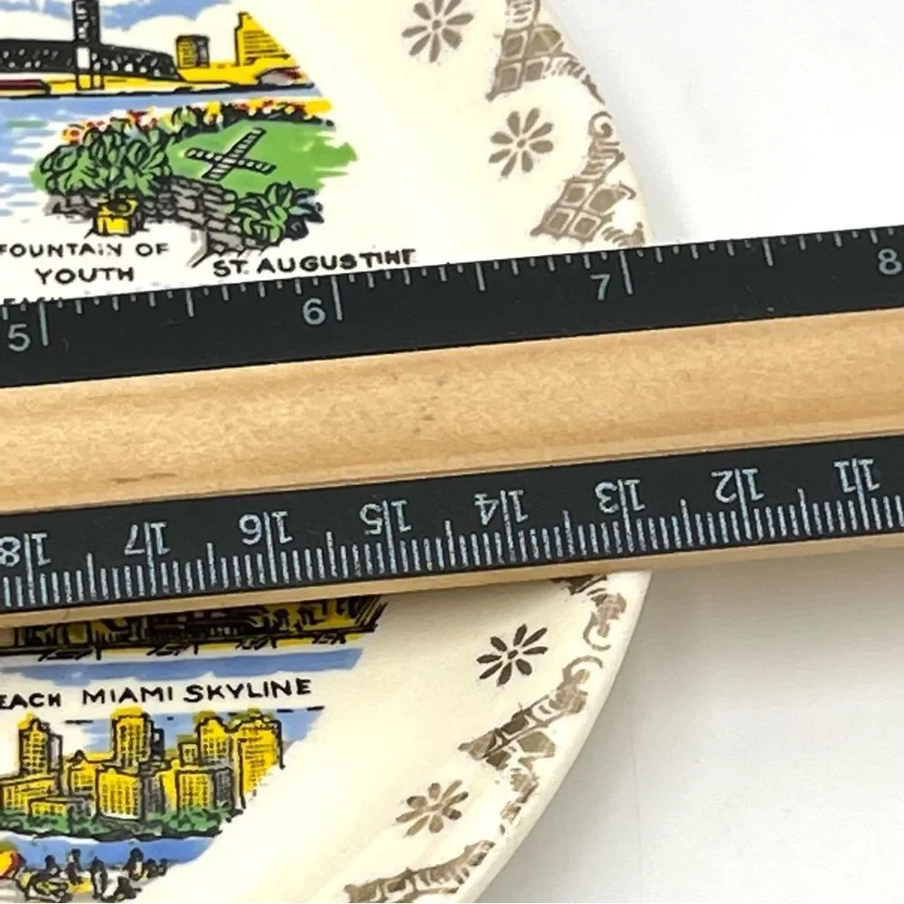 Vintage 1960s MCM Florida‎ Decorative Travel State Souvenir Collector's Plate